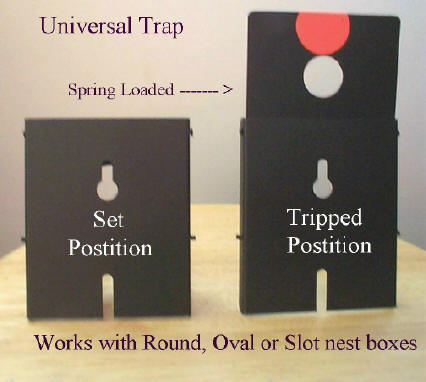 Van Ert sparrow trap (courtesy of Floyd Van Ert)